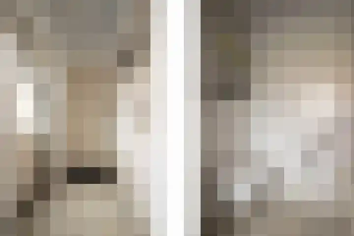 Veestraat 34 Linne thumbnail 11