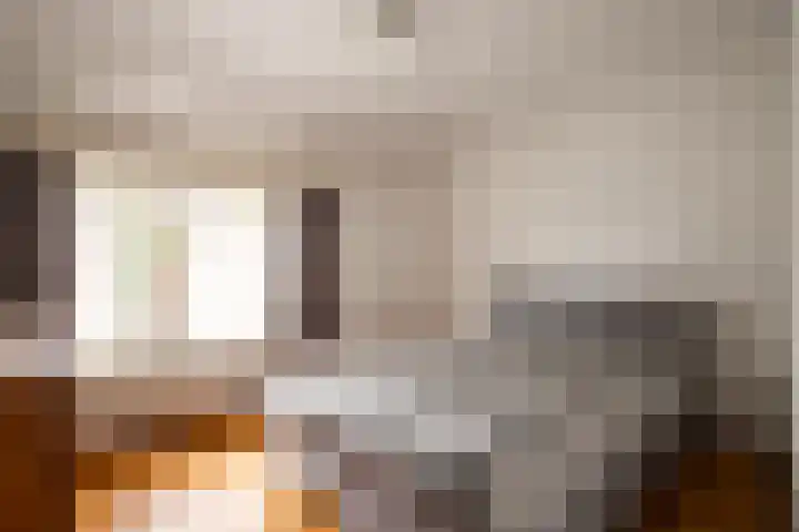 Veestraat 34 Linne thumbnail 13