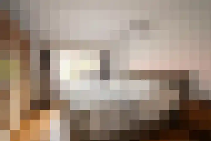 Veestraat 34 Linne thumbnail 14