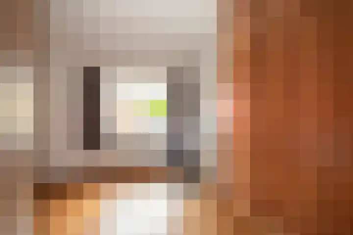 Veestraat 34 Linne thumbnail 15