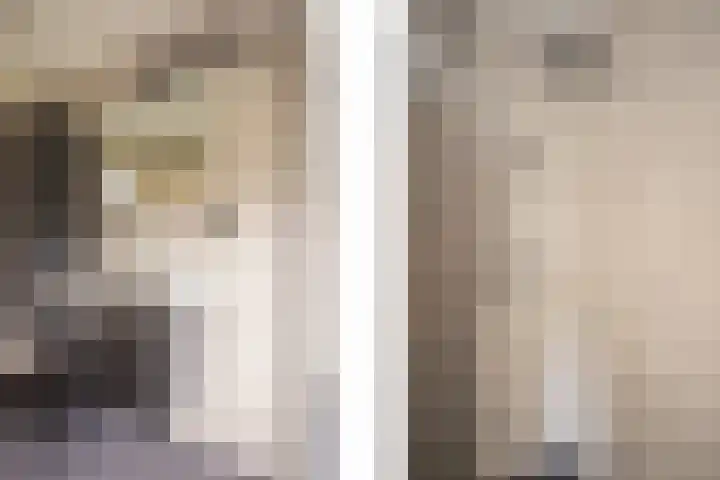Veestraat 34 Linne thumbnail 16