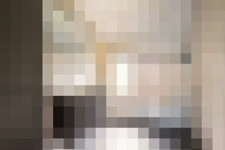 Veestraat 34 Linne thumbnail 17