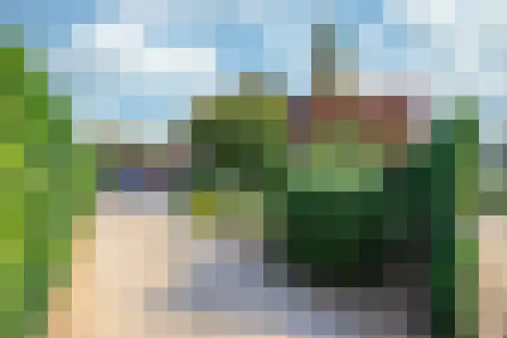 Veestraat 34 Linne thumbnail 21