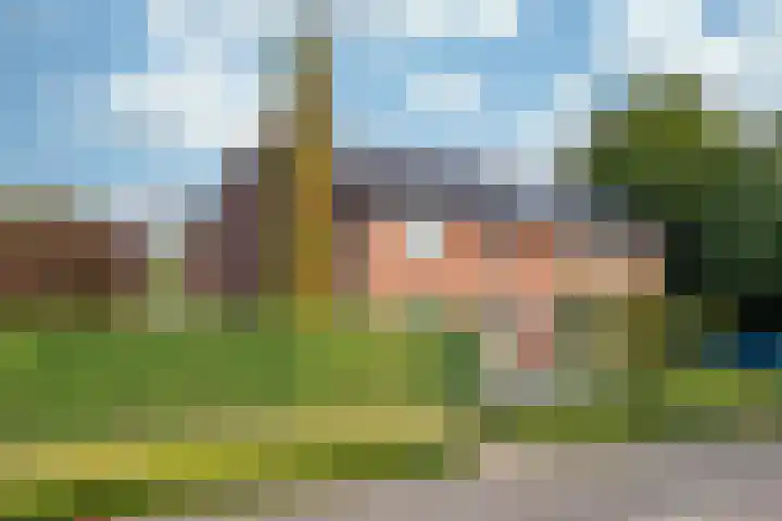 Veestraat 34 Linne thumbnail 24