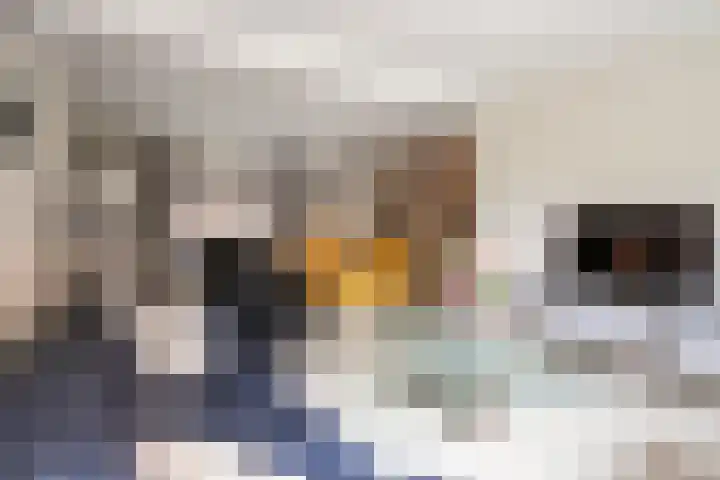 Veestraat 34 Linne thumbnail 4