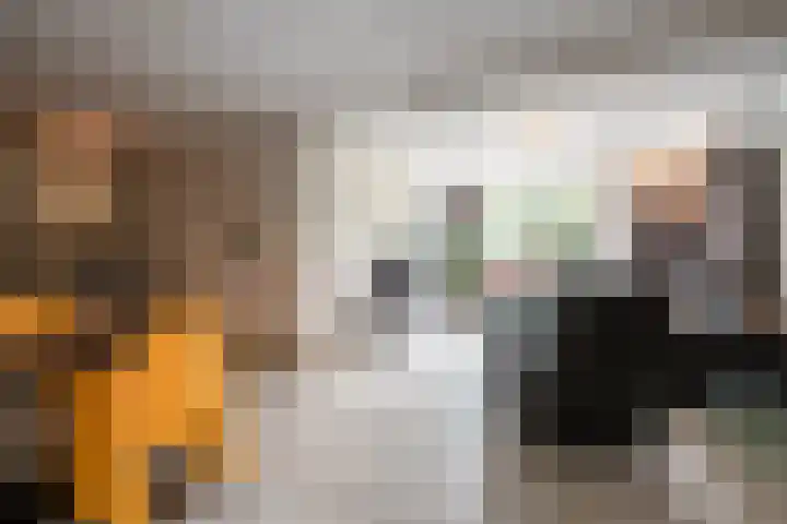 Veestraat 34 Linne thumbnail 5