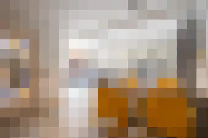 Veestraat 34 Linne thumbnail 6