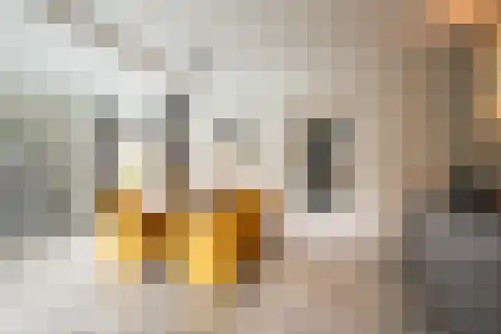 Veestraat 34 Linne thumbnail 8