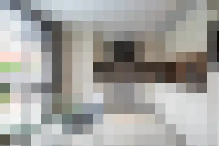 Veestraat 34 Linne thumbnail 9