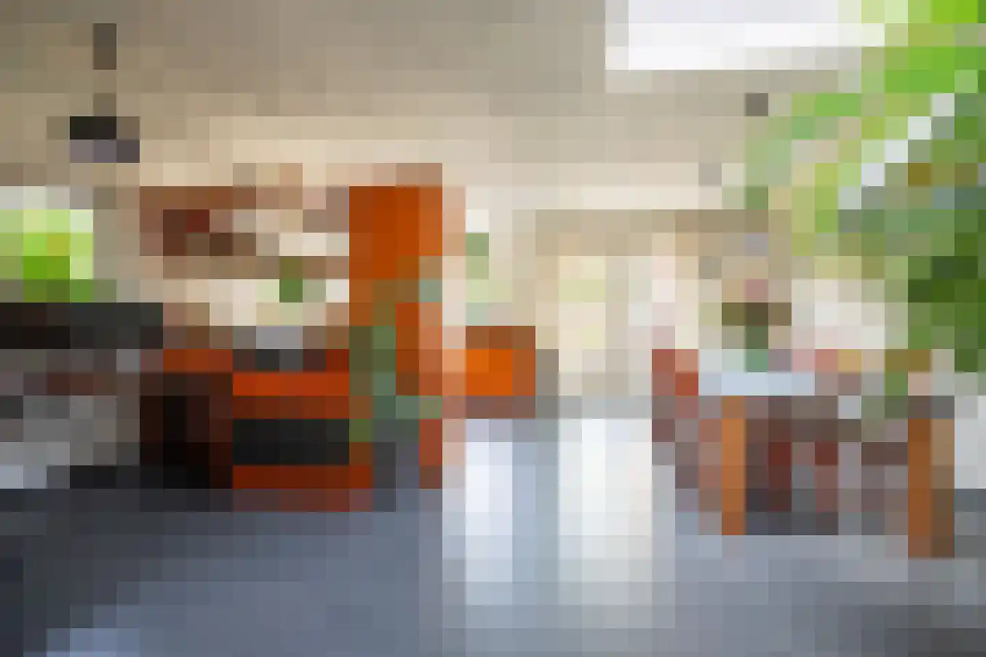 Veestraat 38 Linne thumbnail 10