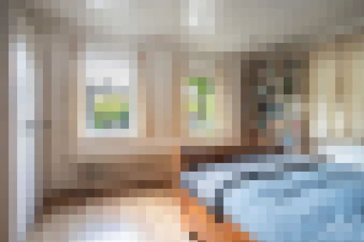 Veestraat 38 Linne thumbnail 14