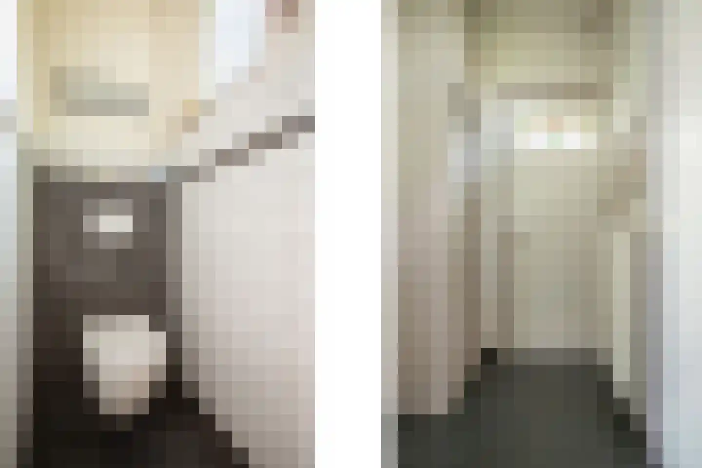 Veestraat 38 Linne thumbnail 17