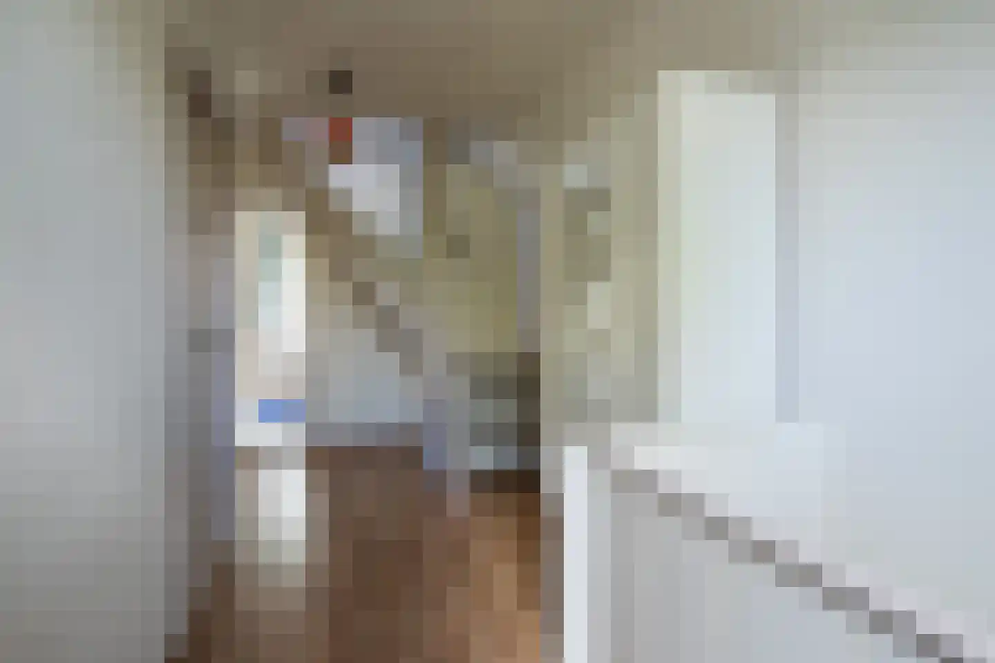 Veestraat 38 Linne thumbnail 18