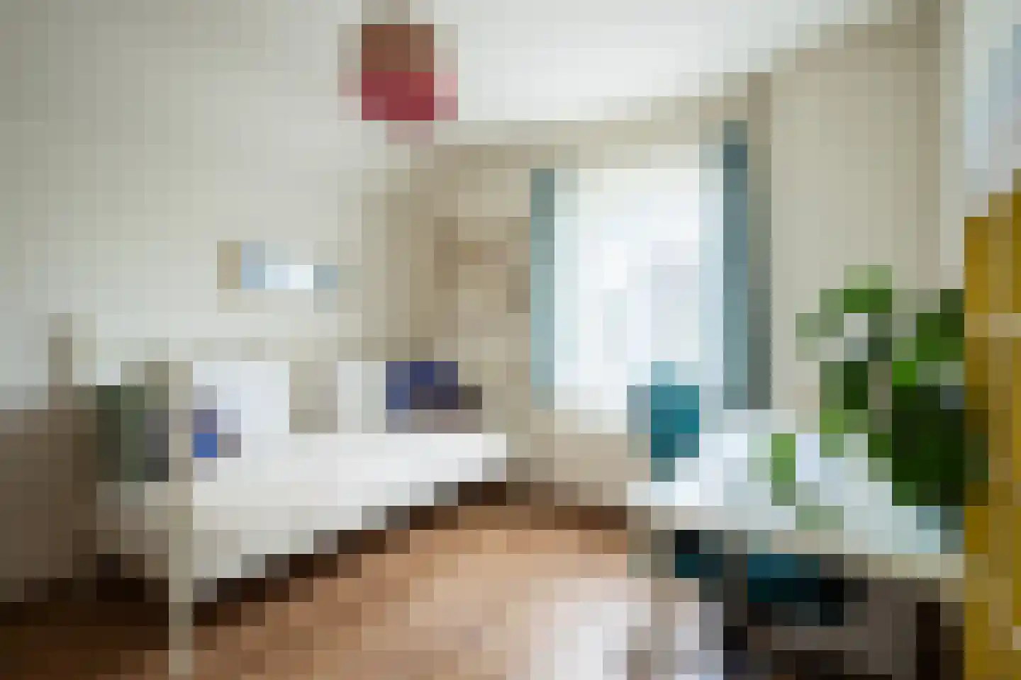 Veestraat 38 Linne thumbnail 22