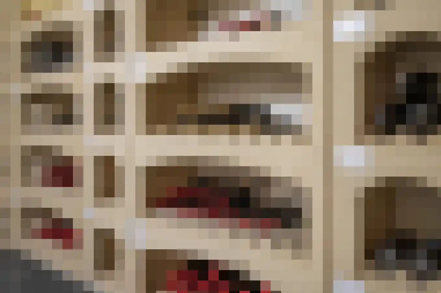 Veestraat 38 Linne thumbnail 25