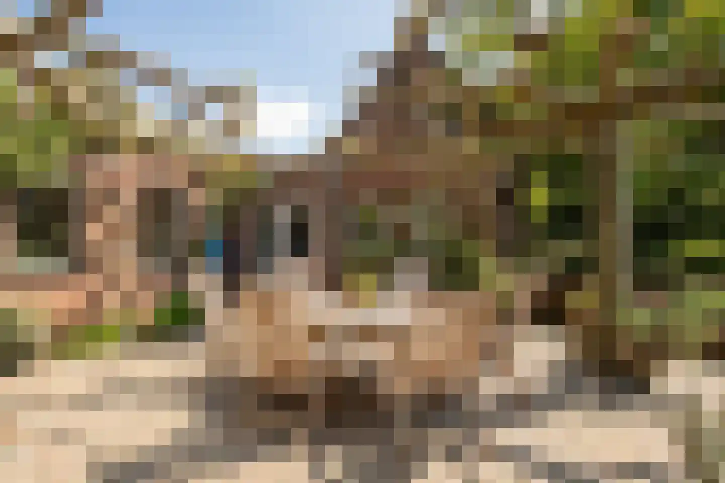 Veestraat 38 Linne thumbnail 26