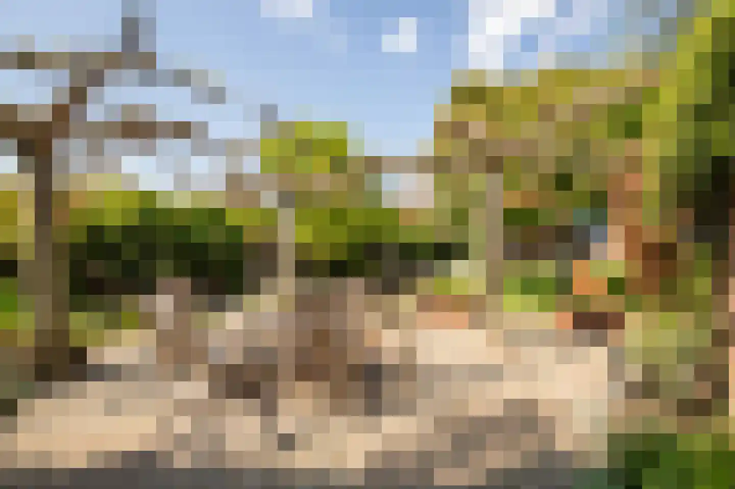 Veestraat 38 Linne thumbnail 27