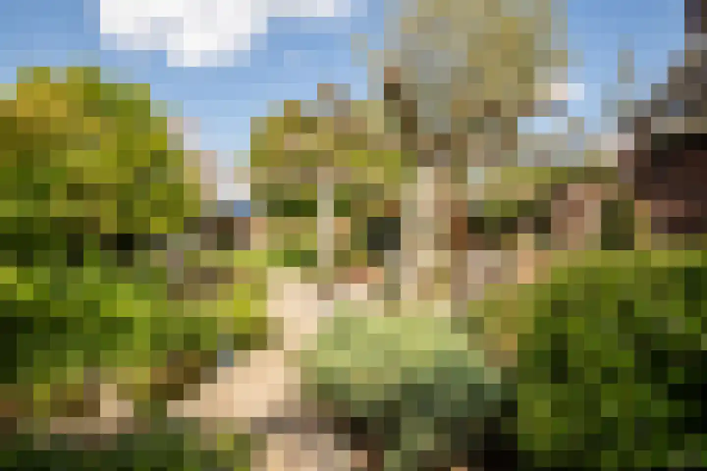 Veestraat 38 Linne thumbnail 28
