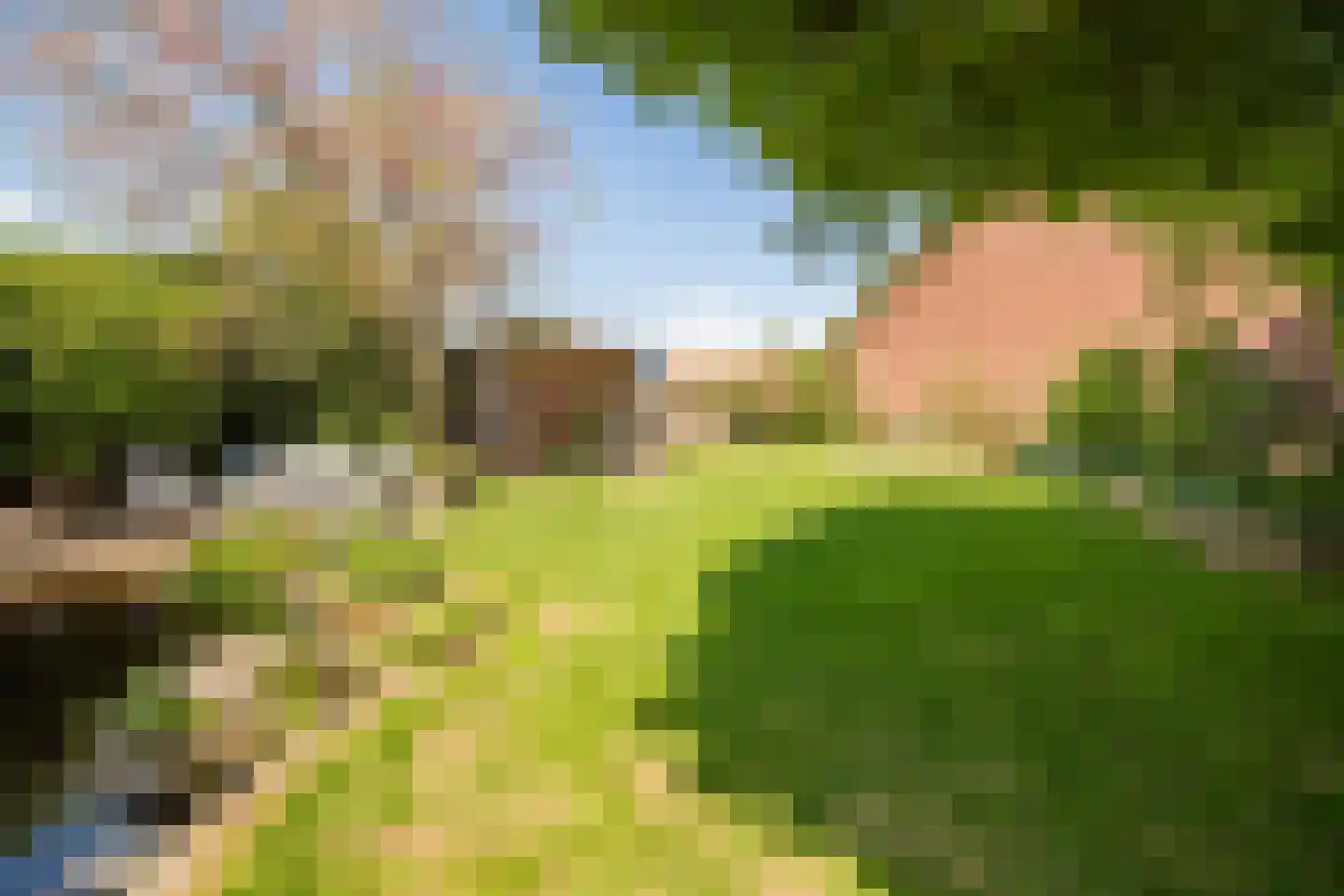 Veestraat 38 Linne thumbnail 31