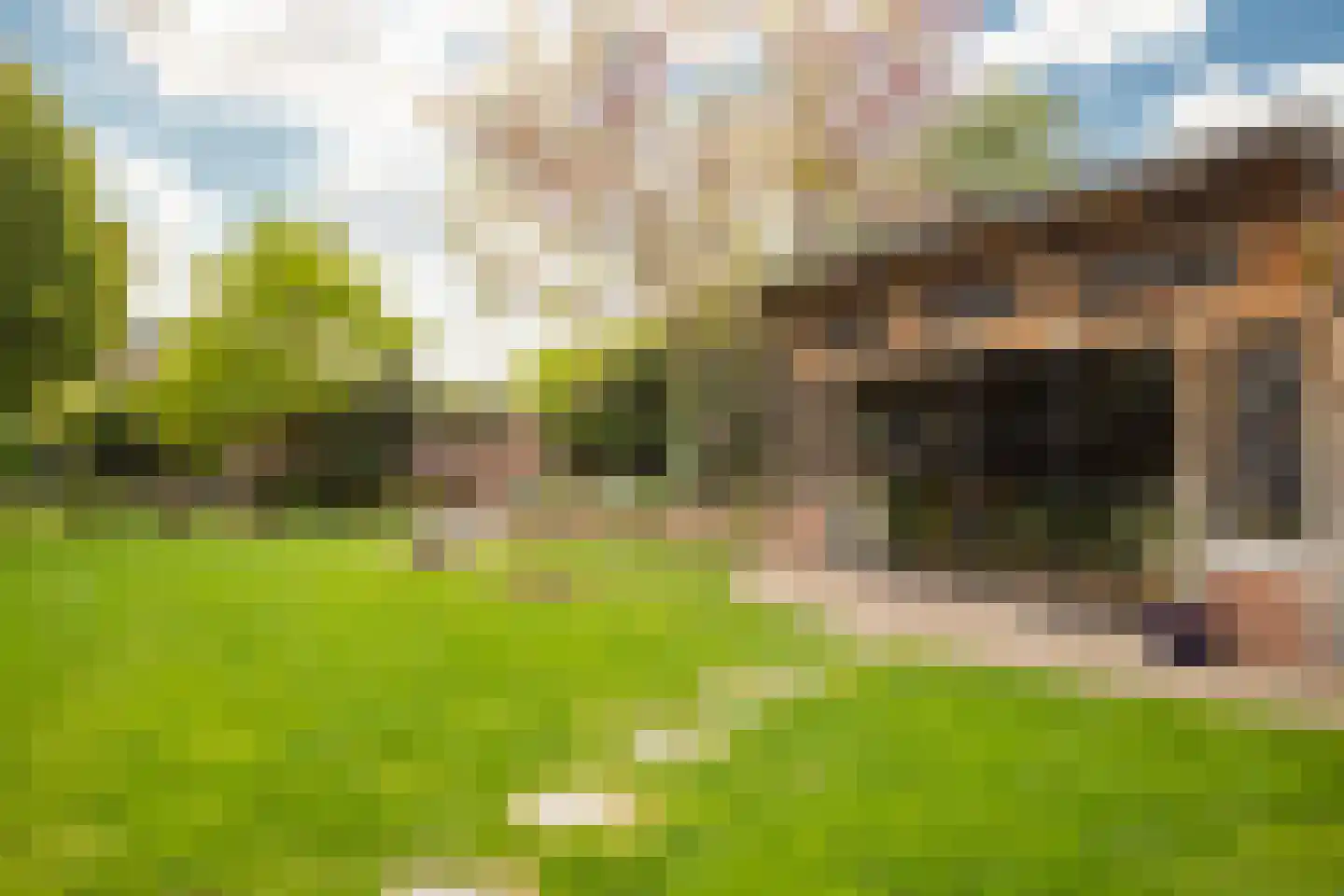 Veestraat 38 Linne thumbnail 33