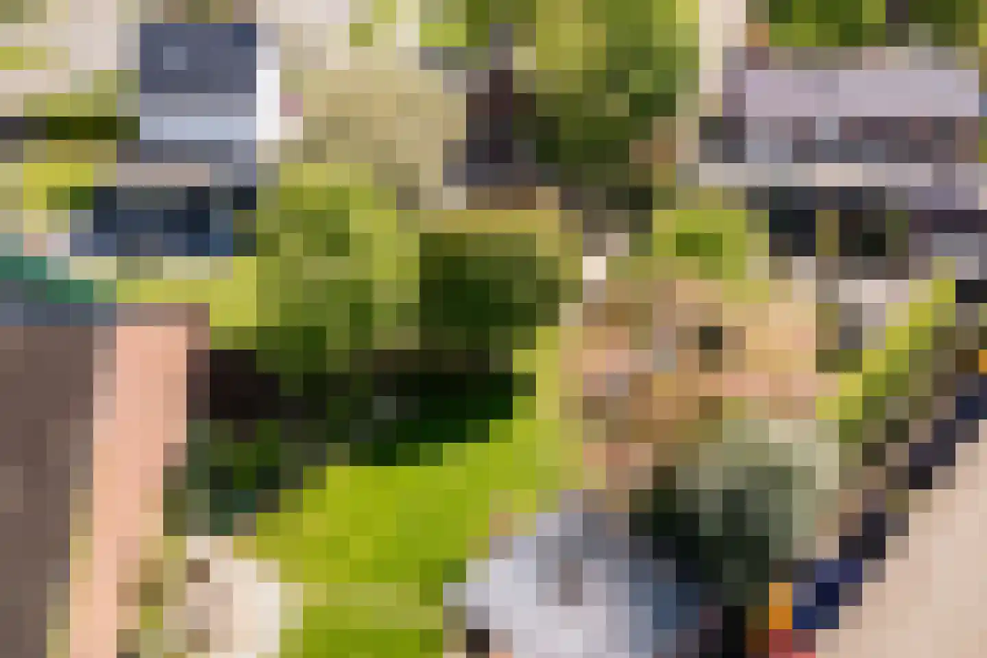 Veestraat 38 Linne thumbnail 35