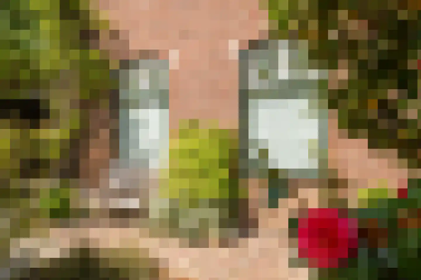 Veestraat 38 Linne thumbnail 36