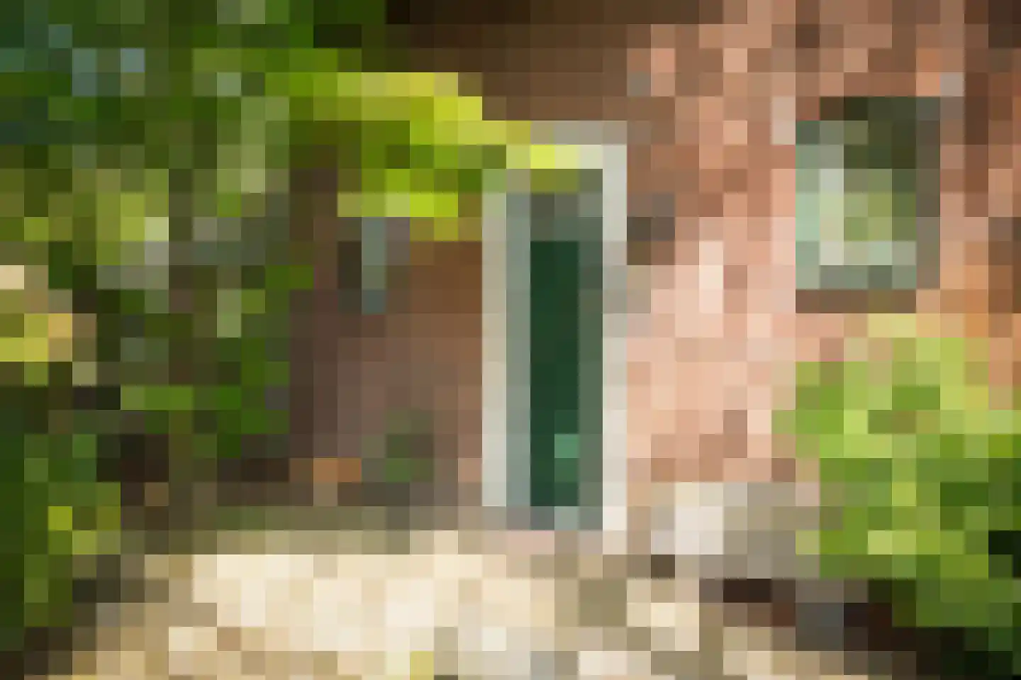 Veestraat 38 Linne thumbnail 37