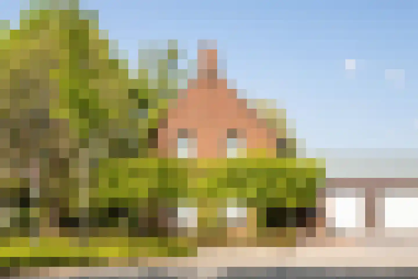 Veestraat 38 Linne thumbnail 38