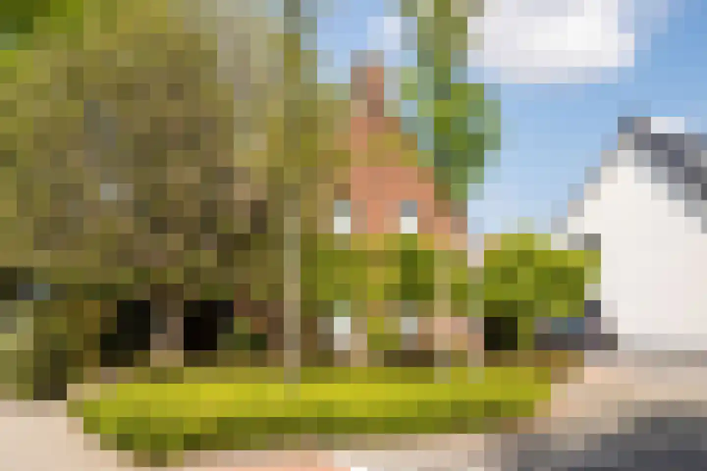 Veestraat 38 Linne thumbnail 39