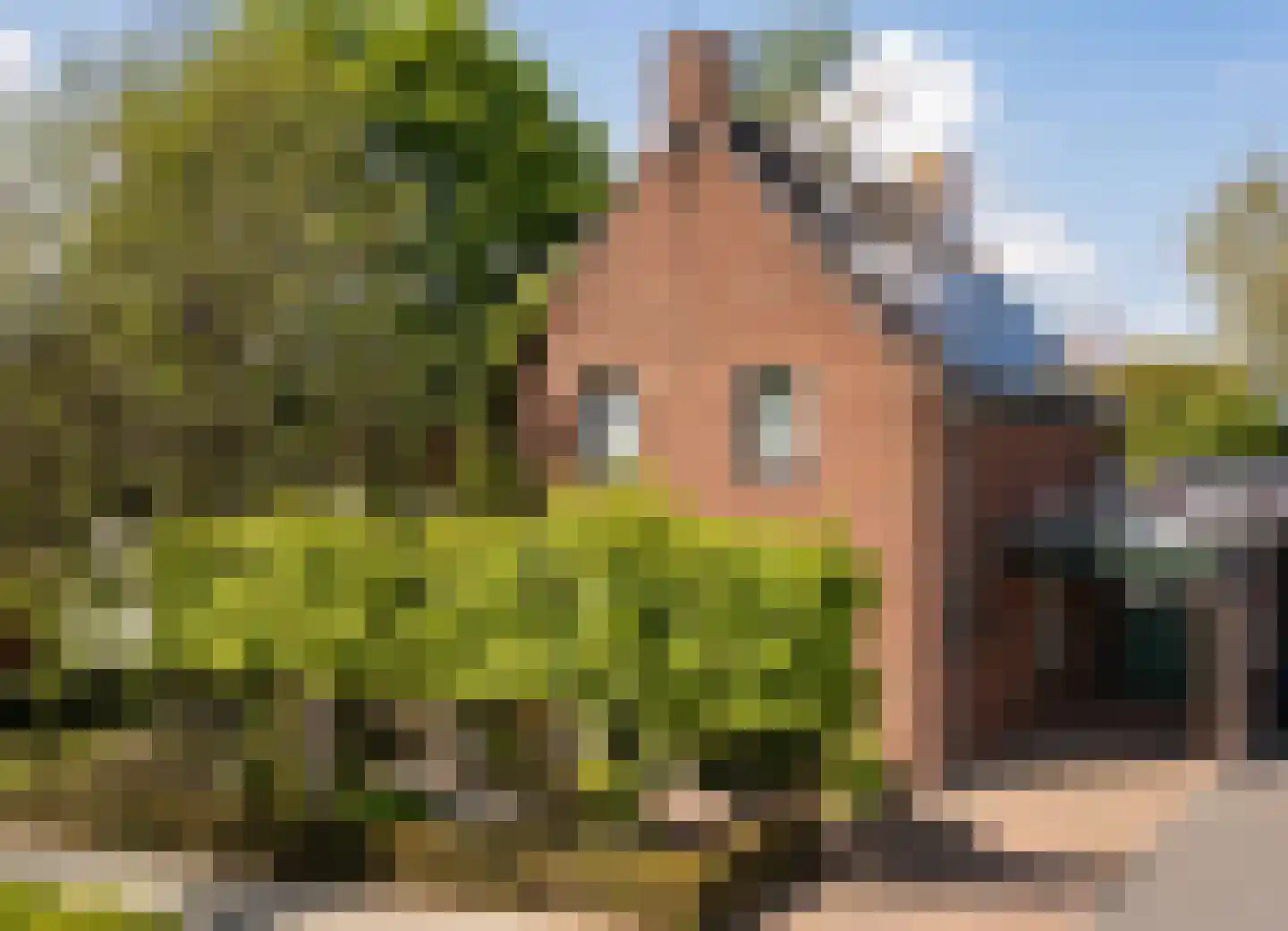 Veestraat 38 Linne thumbnail 4