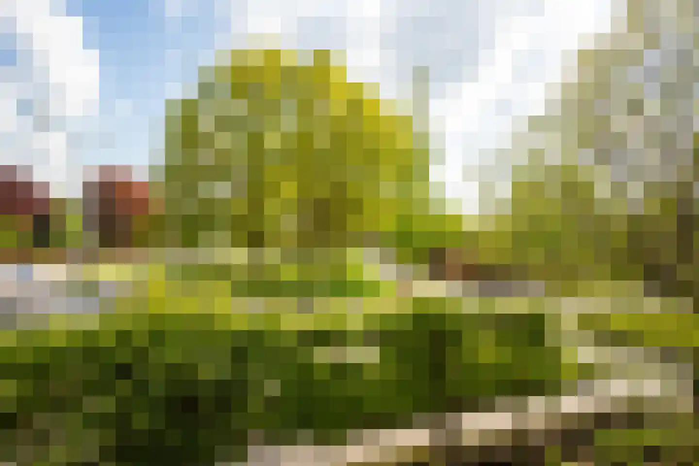 Veestraat 38 Linne thumbnail 42