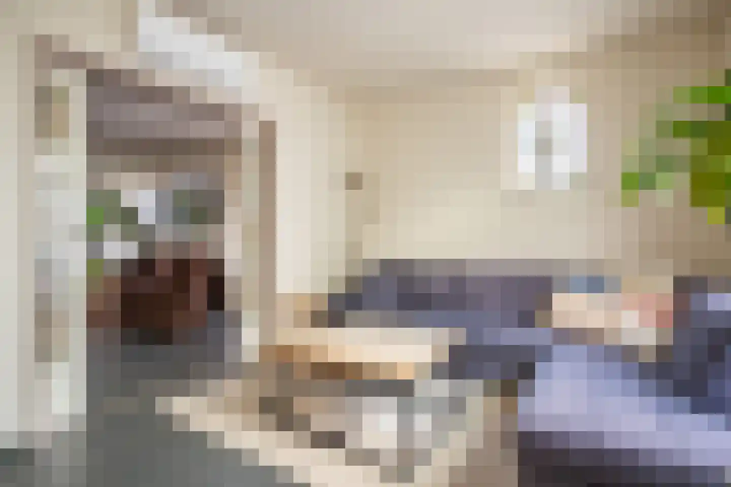 Veestraat 38 Linne thumbnail 6