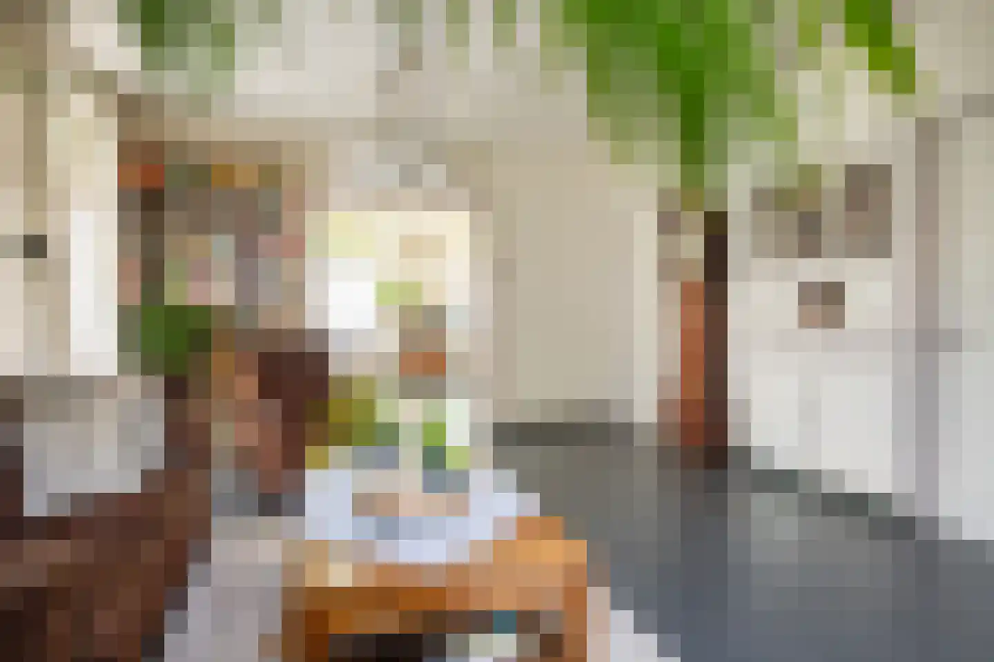 Veestraat 38 Linne thumbnail 7