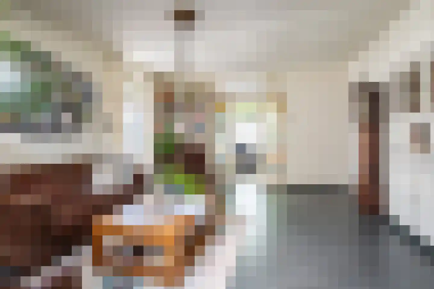 Veestraat 38 Linne thumbnail 8