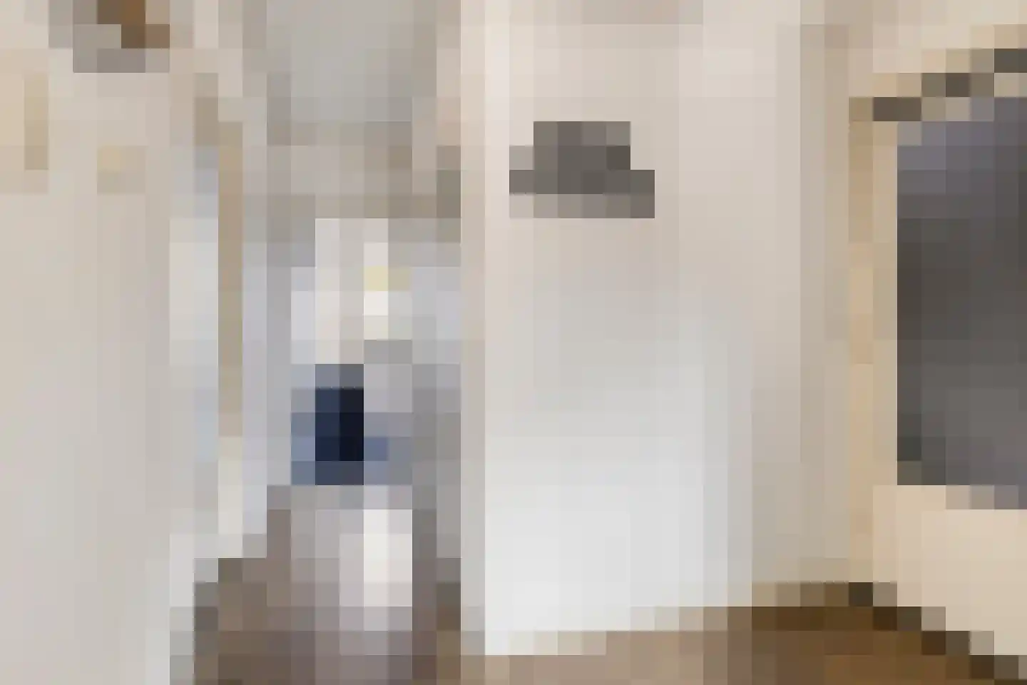 Veestraat 49 Venlo thumbnail 12