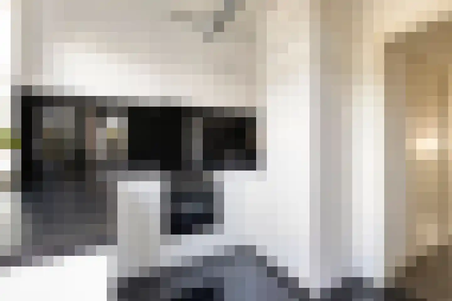 Veestraat 49 Venlo thumbnail 20