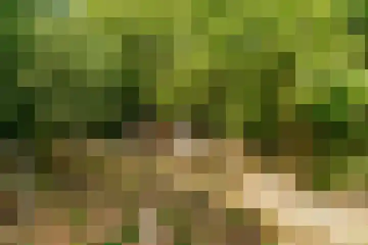 Veestraat 72 Sittard thumbnail 44