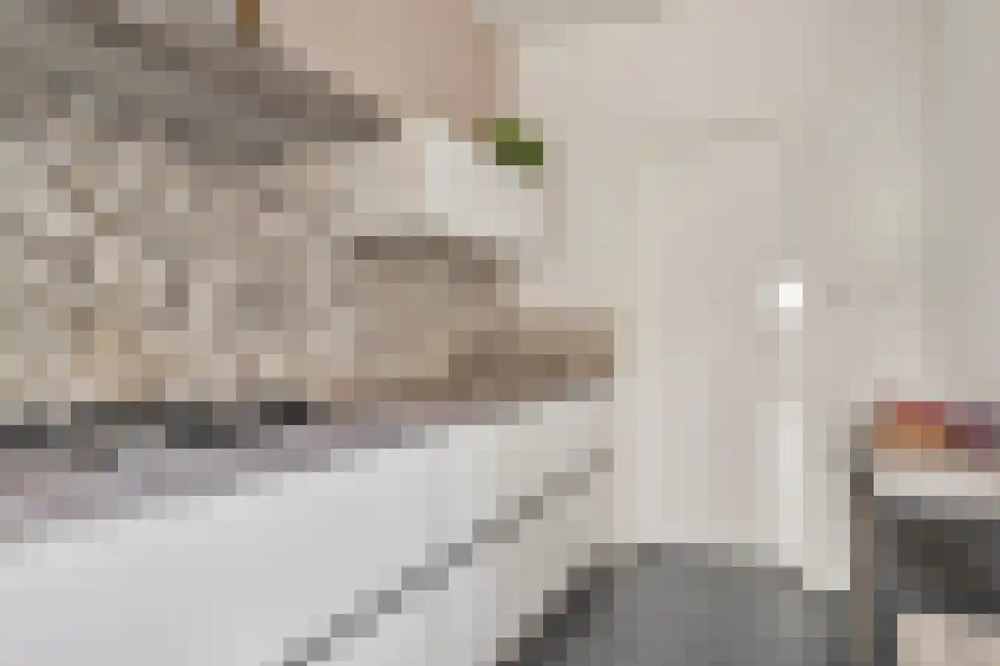 Veestraat 77 Tilburg thumbnail 12