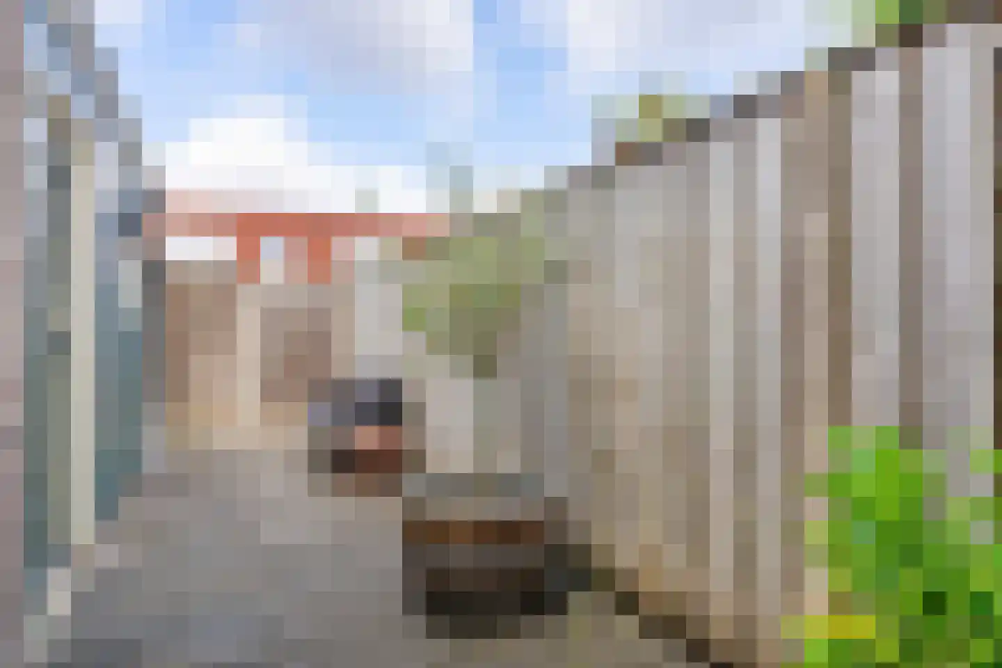 Veestraat 77 Tilburg thumbnail 24