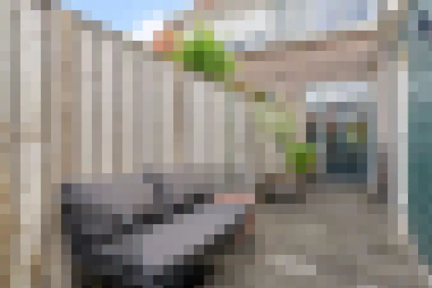 Veestraat 77 Tilburg thumbnail 25