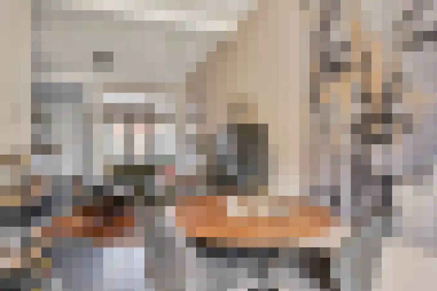 Veestraat 77 Tilburg thumbnail 9