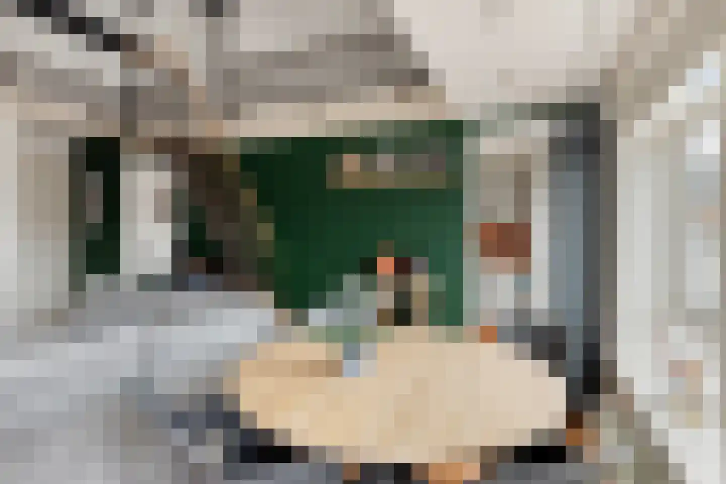 Veestraat 8 D Helmond thumbnail 18