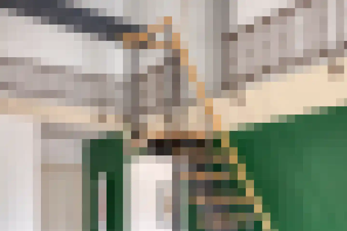 Veestraat 8 D Helmond thumbnail 19