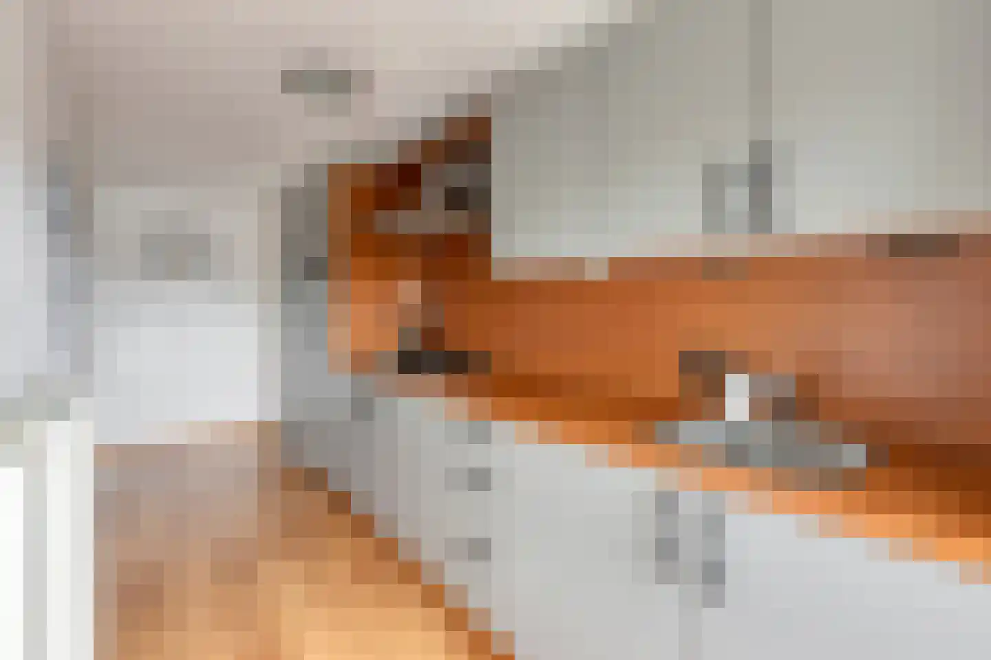 Veestraat 8 D Helmond thumbnail 21