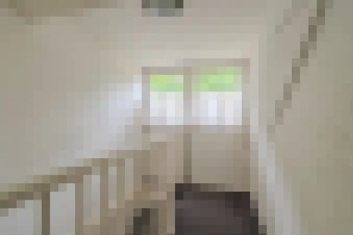 Veestraat 9 Grubbenvorst thumbnail 18