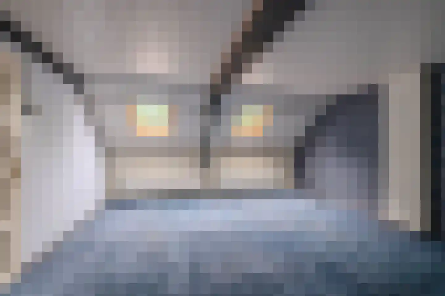 Veestraat 9 Grubbenvorst thumbnail 20