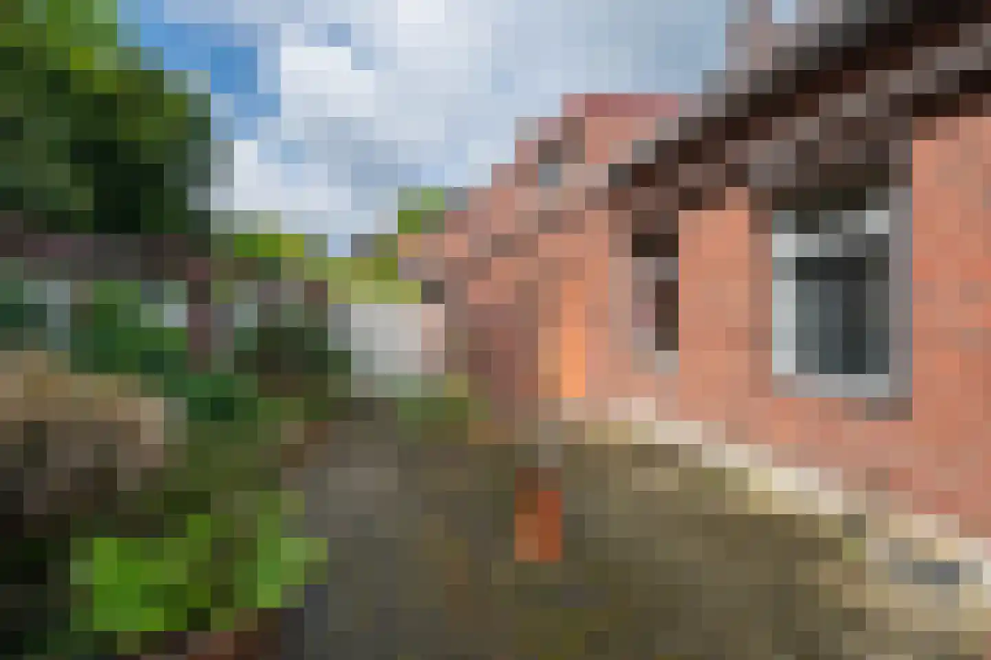 Veestraat 9 Grubbenvorst thumbnail 27