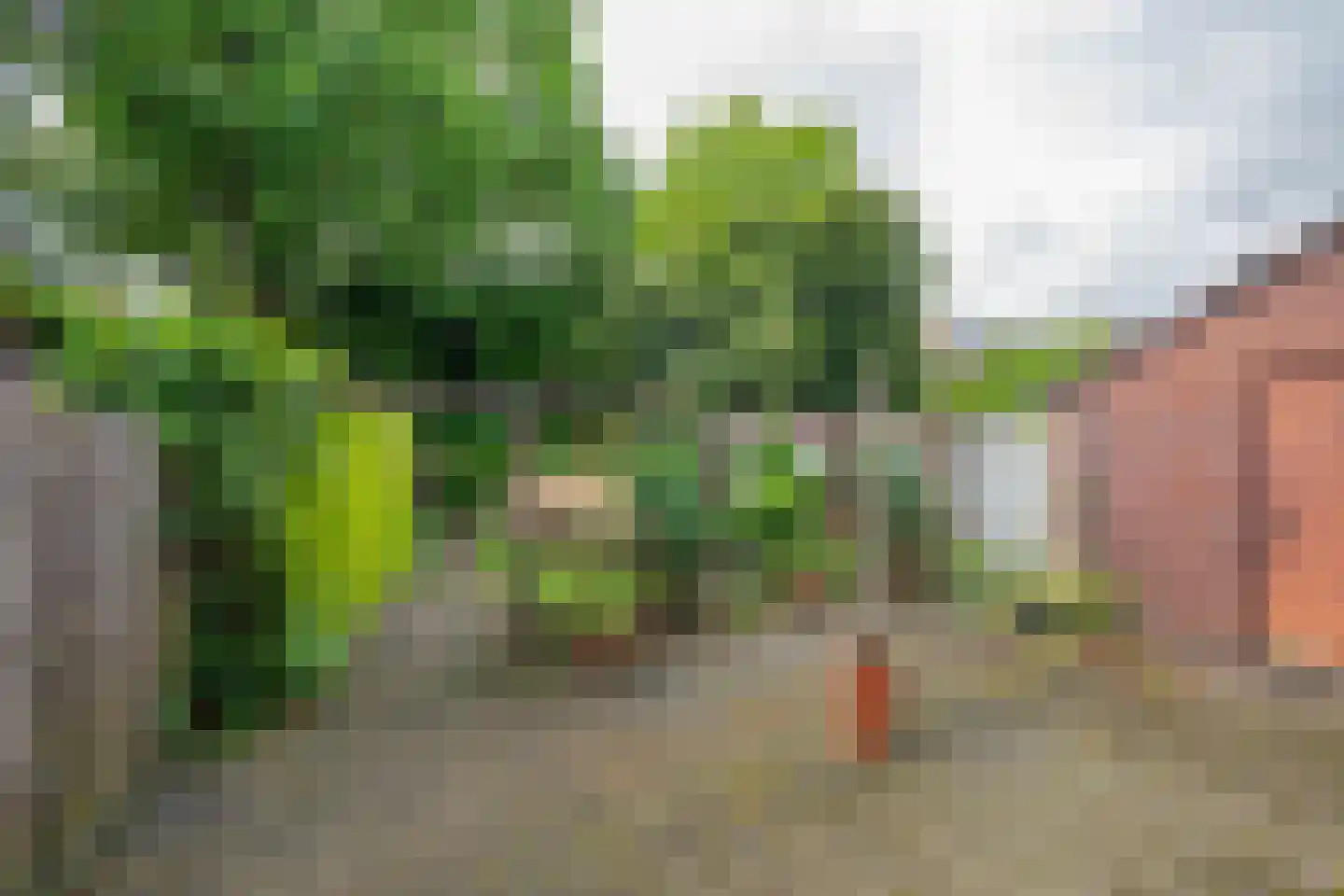 Veestraat 9 Grubbenvorst thumbnail 28