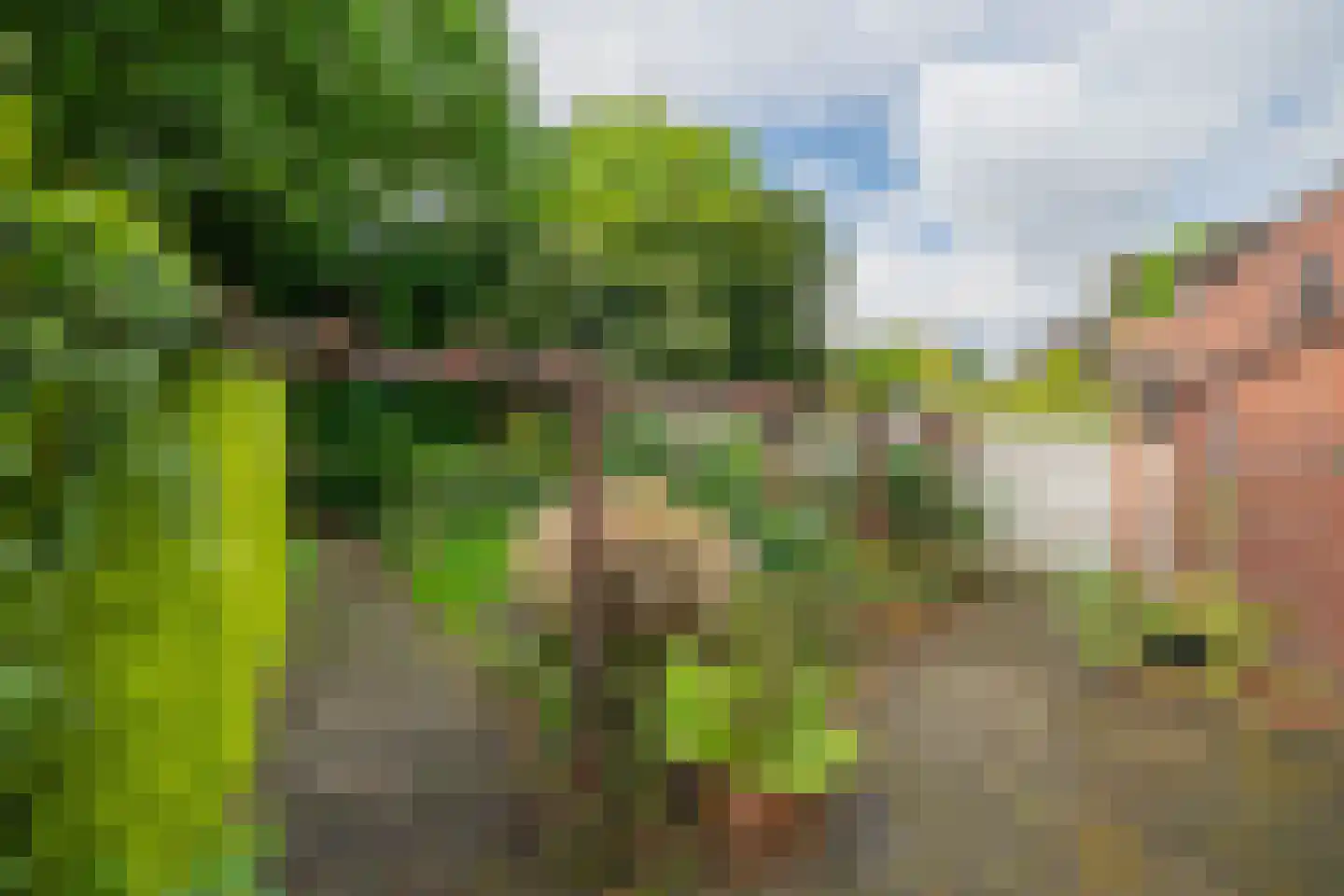 Veestraat 9 Grubbenvorst thumbnail 29