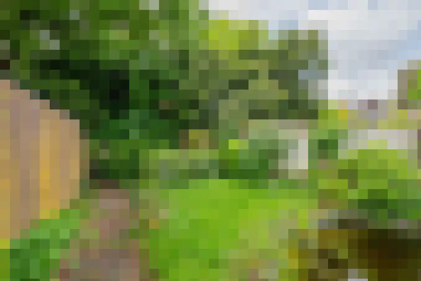 Veestraat 9 Grubbenvorst thumbnail 31